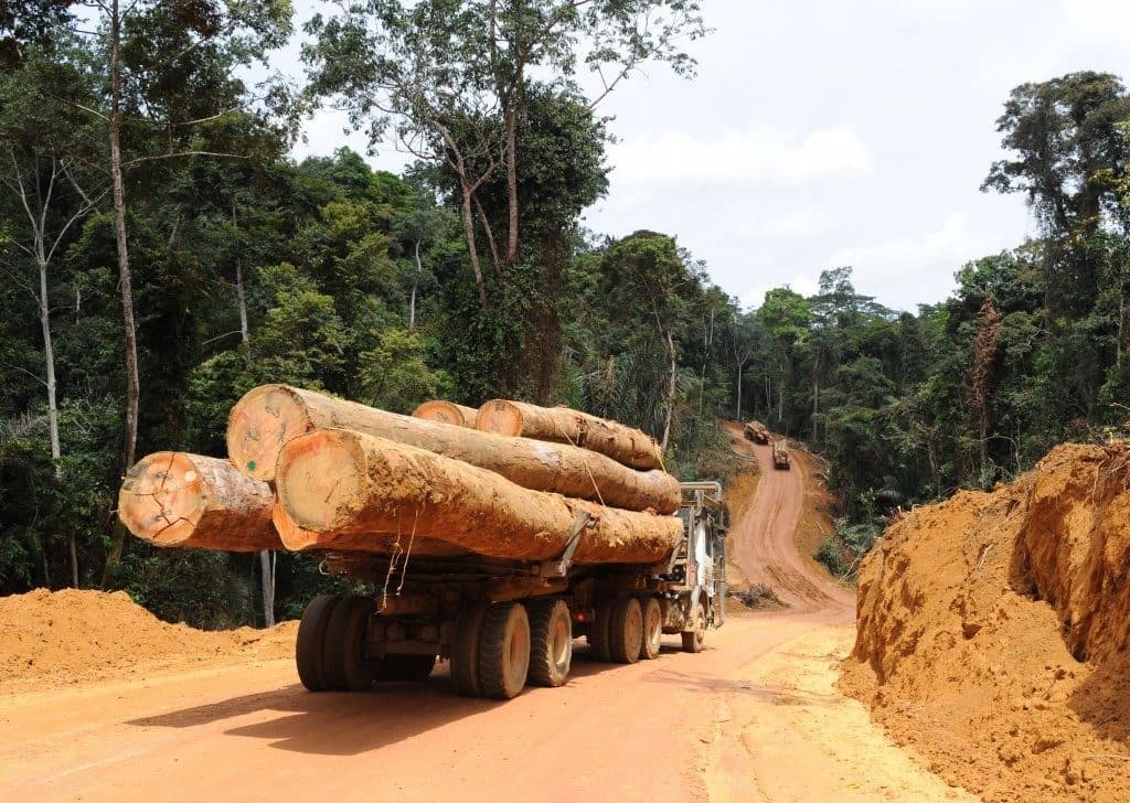 Timber transport